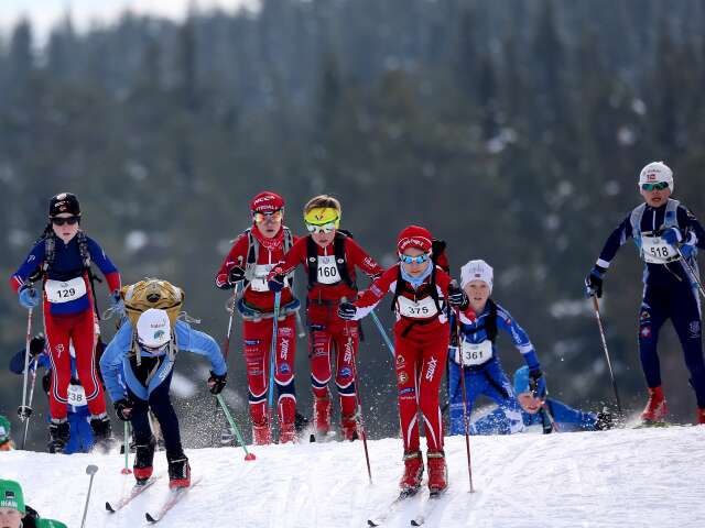 Barne Birken ski 2016 8