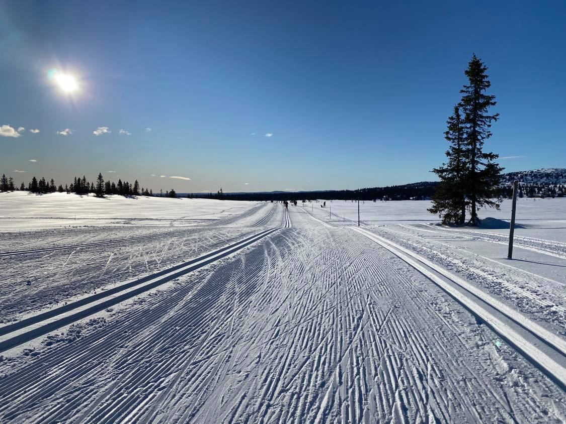 Terje Gomo - Sjusjøen Feb 19-20 - Privat