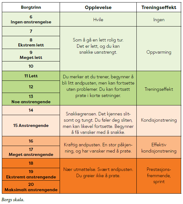 Skjermbilde