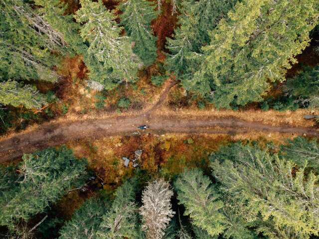 Gravelbirken(21of32)