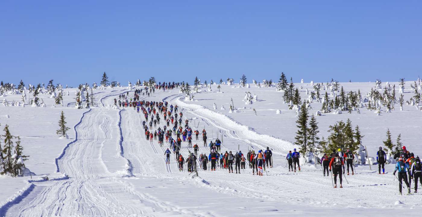 Birken 2018 DB 43 raudfjellet