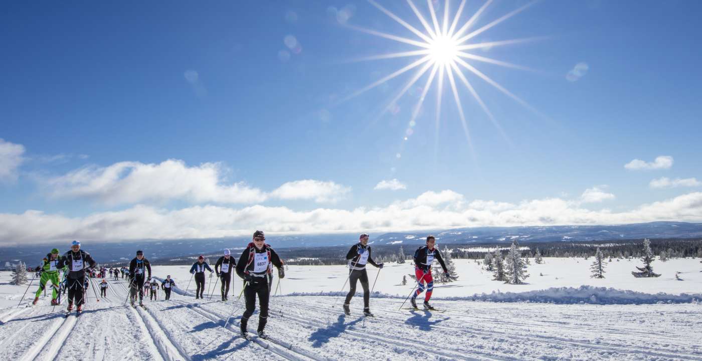 Birken ski 16.3 2019 _9