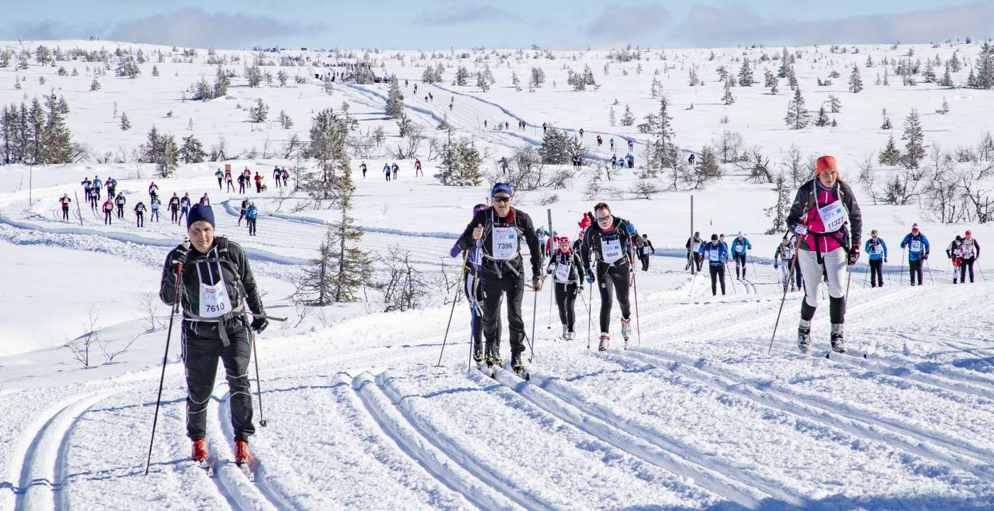 Birken ski 16.3 2019 _75