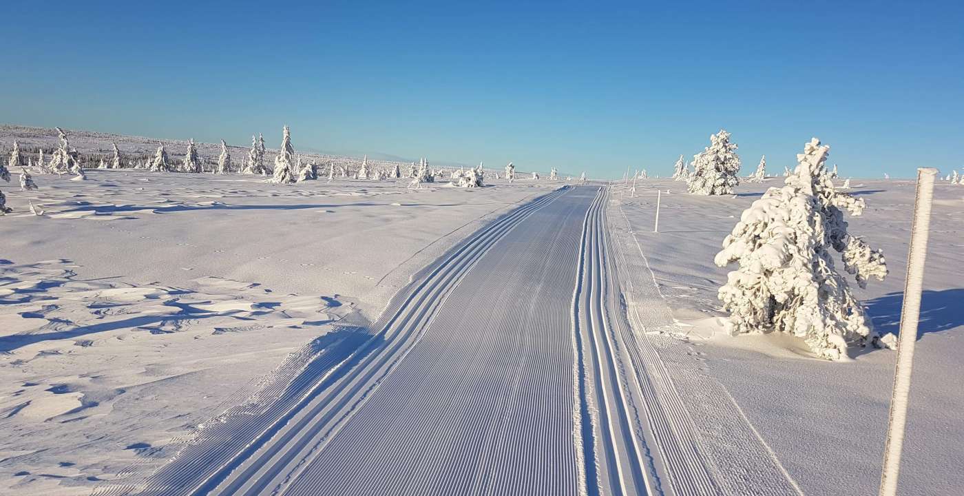 dølfjellet november 2019