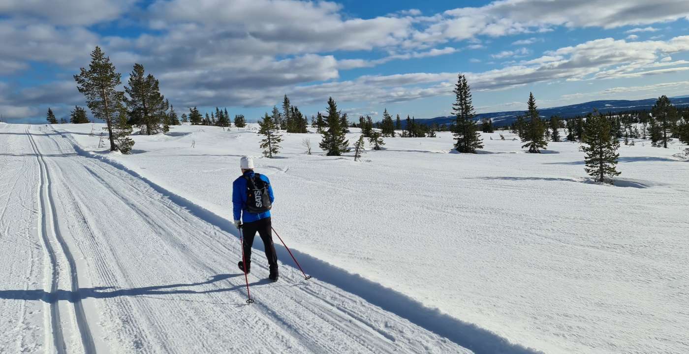 Fikk hjerneslag i oktober, Birken-debuterte på ski i mars